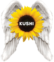 Kushi Logo